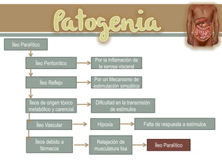 Íleo Paralítico
Íleo Peritonítico
Por la Inflamación de
la serosa visceral
Íleo Reflejo
Por un Mecanismo de
estimulación simpática
Íleos de origen tóxico
metabólico y carencial
Dificultad en la transmisión
de estímulos
Íleo Vascular Hipoxia Falta de respuesta a estímulos
Íleos debido a
fármacos
Relajación de
musculatura lisa
Íleo Paralítico
 