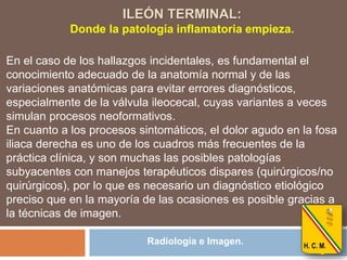 Radiología e Imagen.
ILEÓN TERMINAL:
Donde la patología inflamatoria empieza.
En el caso de los hallazgos incidentales, es fundamental el
conocimiento adecuado de la anatomía normal y de las
variaciones anatómicas para evitar errores diagnósticos,
especialmente de la válvula ileocecal, cuyas variantes a veces
simulan procesos neoformativos.
En cuanto a los procesos sintomáticos, el dolor agudo en la fosa
iliaca derecha es uno de los cuadros más frecuentes de la
práctica clínica, y son muchas las posibles patologías
subyacentes con manejos terapéuticos dispares (quirúrgicos/no
quirúrgicos), por lo que es necesario un diagnóstico etiológico
preciso que en la mayoría de las ocasiones es posible gracias a
la técnicas de imagen.
 