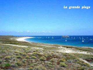 La grande plage

 