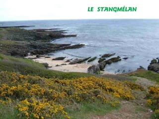 LE STANGMÉLAN

 