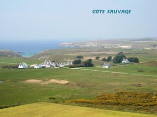 CÔTE SAUVAGE

 