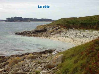 La côte

 