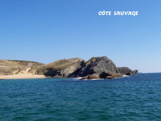 CÔTE SAUVAGE

 