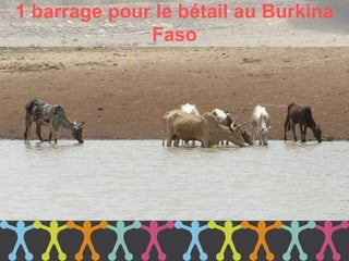 1 barrage pour le bétail au Burkina
              Faso
 