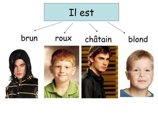 Il est
brun roux blondchâtain
 