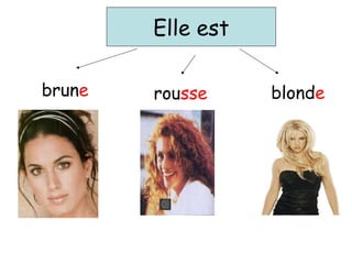 Elle est
brune rousse blonde
 
