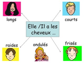 Elle /Il a les
cheveux …
longs courts
raides frisésondulés
 