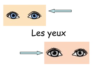 Les yeux
 