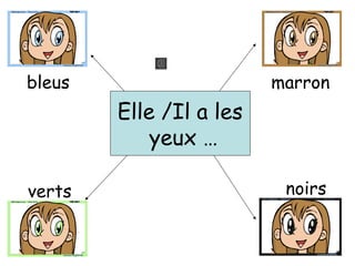 Elle /Il a les
yeux …
bleus marron
verts noirs
 
