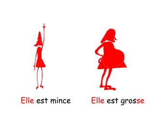 Elle est mince Elle est grosse
 