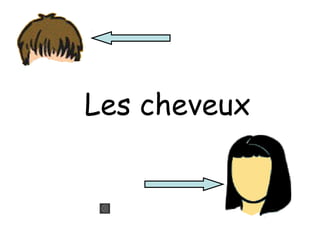 Les cheveux
 