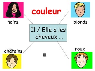 Il / Elle a les
cheveux …
noirs blonds
châtains roux
couleur
 