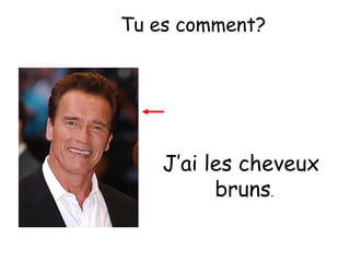 Tu es comment?

J’ai les cheveux
bruns.

 