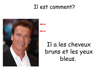 Il est comment?

Il a les cheveux
bruns et les yeux
bleus.

 