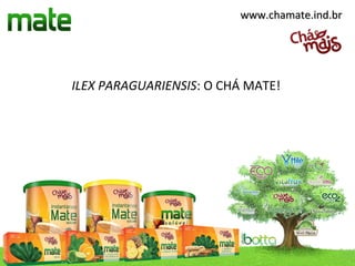 www.chamate.ind.br




ILEX PARAGUARIENSIS: O CHÁ MATE!
 