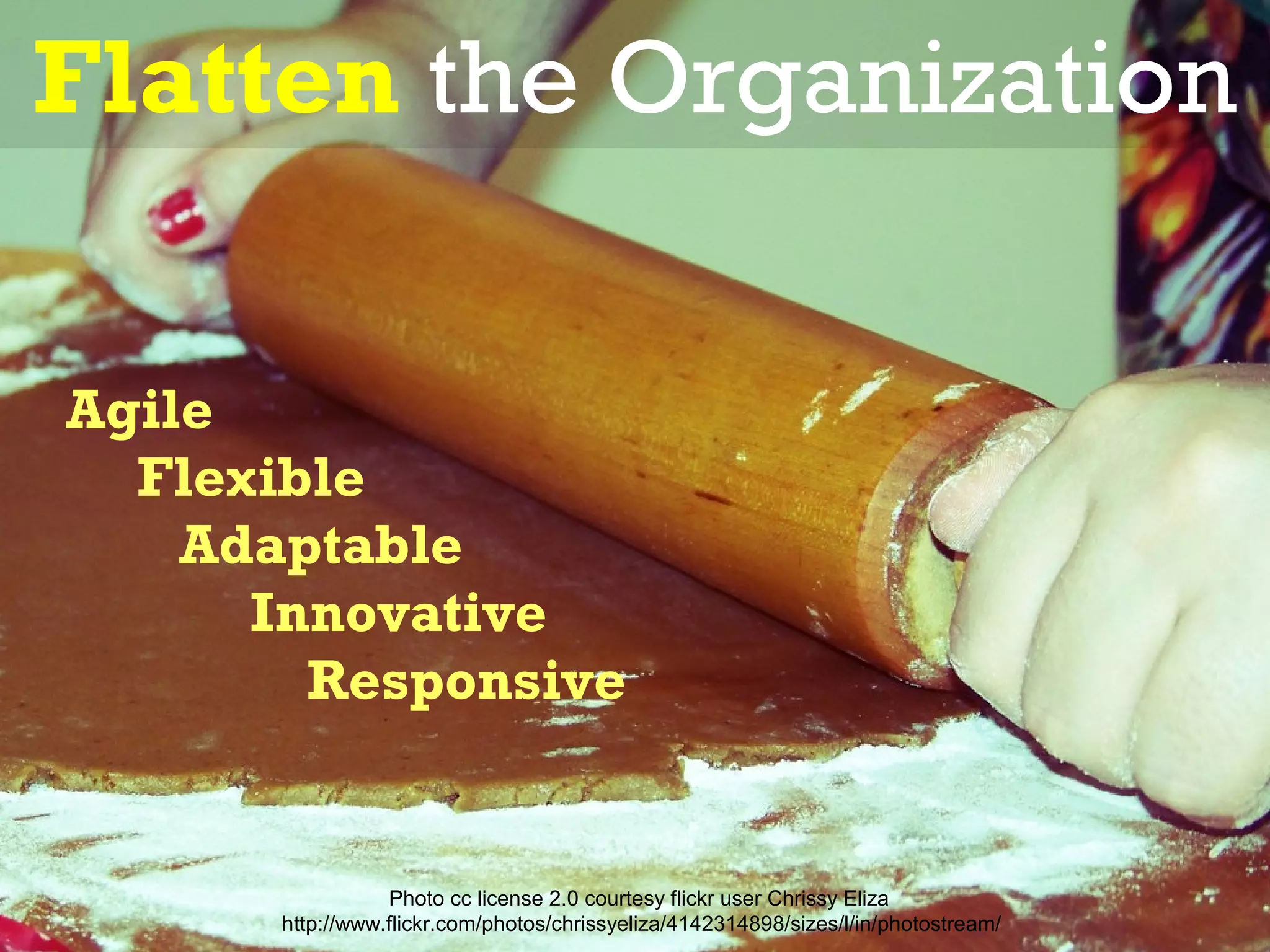 Flatten the Organization

Agile
  Flexible
    Adaptable
      Innovative
        Responsive


                 Photo cc license 2.0 courtesy flickr user Chrissy Eliza
      http://www.flickr.com/photos/chrissyeliza/4142314898/sizes/l/in/photostream/
 