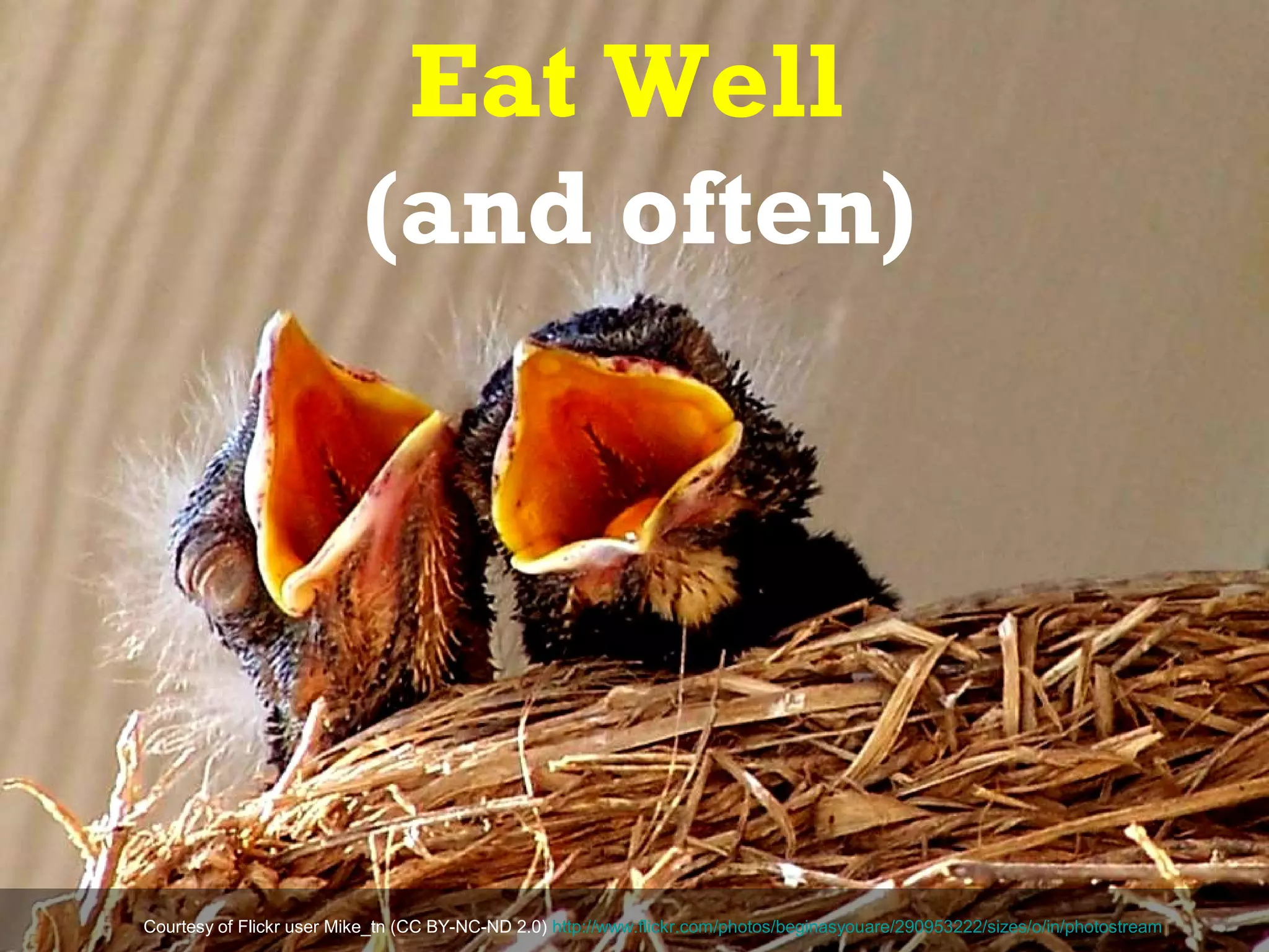 Eat Well
                          (and often)




Courtesy of Flickr user Mike_tn (CC BY-NC-ND 2.0) http://www.flickr.com/photos/beginasyouare/290953222/sizes/o/in/photostream
 