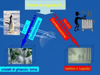 Punto di rugiada (T d ) T d  < 0°C Td > 0°C Sublimazione Condensazione nebbia o rugiada cristalli di ghiaccio: brina   