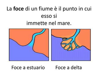 La foce di un fiume è il punto in cui
esso si
immette nel mare.

Foce a estuario

Foce a delta

 