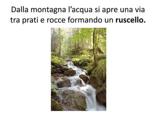 Dalla montagna l’acqua si apre una via
tra prati e rocce formando un ruscello.

 
