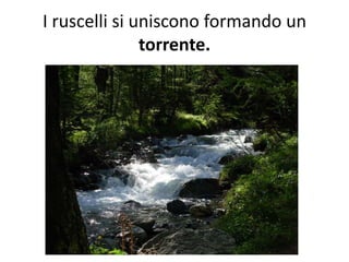 I ruscelli si uniscono formando un
torrente.

 