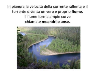 In pianura la velocità della corrente rallenta e il
torrente diventa un vero e proprio fiume.
Il fiume forma ampie curve
chiamate meandri o anse.

 