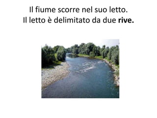Il fiume scorre nel suo letto.
Il letto è delimitato da due rive.

 