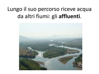 Lungo il suo percorso riceve acqua
da altri fiumi: gli affluenti.

 