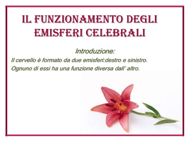 Il Funzionamento Degli Emisferi Celebrali
