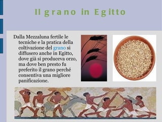 Il grano in Egitto Dalla Mezzaluna fertile le tecniche e la pratica della  coltivazione del  grano  si diffusero anche in Egitto, dove già si produceva orzo, ma dove ben presto fu preferito il grano perché consentiva una migliore panificazione. 