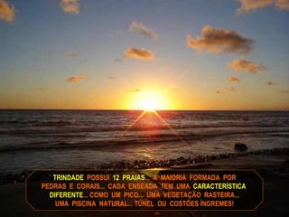 TRINDADE  POSSUI  12  PRAIAS ...  A  MAIORIA  FORMADA  POR PEDRAS  E  CORAIS...  CADA  ENSEADA  TEM  UMA  CARACTERÍSTICA   DIFERENTE ... COMO  UM  PICO...  UMA  VEGETAÇÃO  RASTEIRA... UMA  PISCINA  NATURAL... TÚNEL  OU  COSTÕES ÍNGREMES! 
