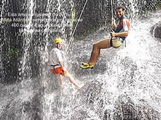 Esta área abriga mais de 80 % de  Mata Atlântica , entremeada por cerca de 400 cursos d'água que formam belíssimas cachoeiras.  