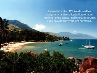 Ladeando a ilha, 129 km de costões abrigam uma diversificada flora e fauna marinha, onde peixes, golfinhos, tartarugas e até baleias convivem em harmonia.  