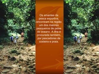 Os amantes da pesca esportiva, encontram na região um dos maiores pesqueiros de peixe de oceano. A Ilha é procurada também, por pescadores de costeira e praia. 