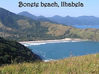 Bonete beach, Ilhabela
 