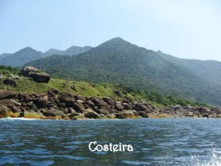 Costeira
 