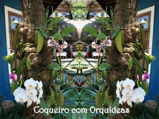 Coqueiro com Orquídeas
 