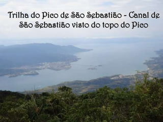 Trilha do Pico de São Sebastião - Canal de
    São Sebastião visto do topo do Pico
 