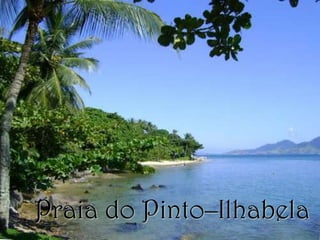 Praia do Pinto–Ilhabela
 