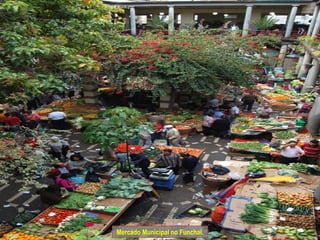 Mercado Municipal no Funchal. 