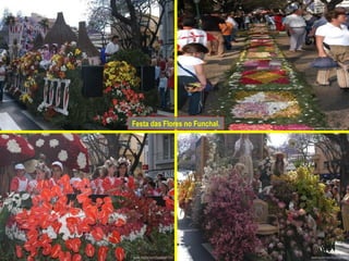 Festa das Flores no Funchal.  