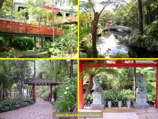 Jardim Monte Palace no Funchal 