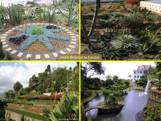 Jardim Botânico no Funchal. 