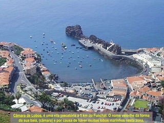Câmara de Lobos , é uma vila piscatória a 5 km do Funchal. O nome veio-lhe da forma da sua baía, (câmara) e por causa de haver muitos lobos marinhos nesta zona. 