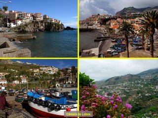 Câmara de Lobos 