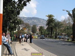 Avenida do Mar 