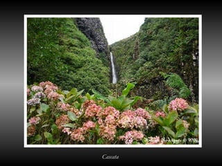 Cascata
 