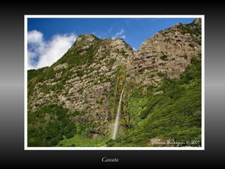 Cascata
 