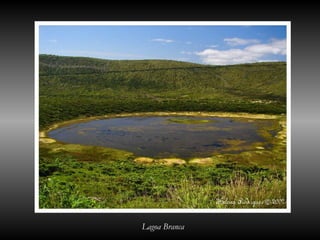 Lagoa Branca
 