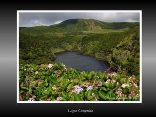 Lagoa Comprida
 